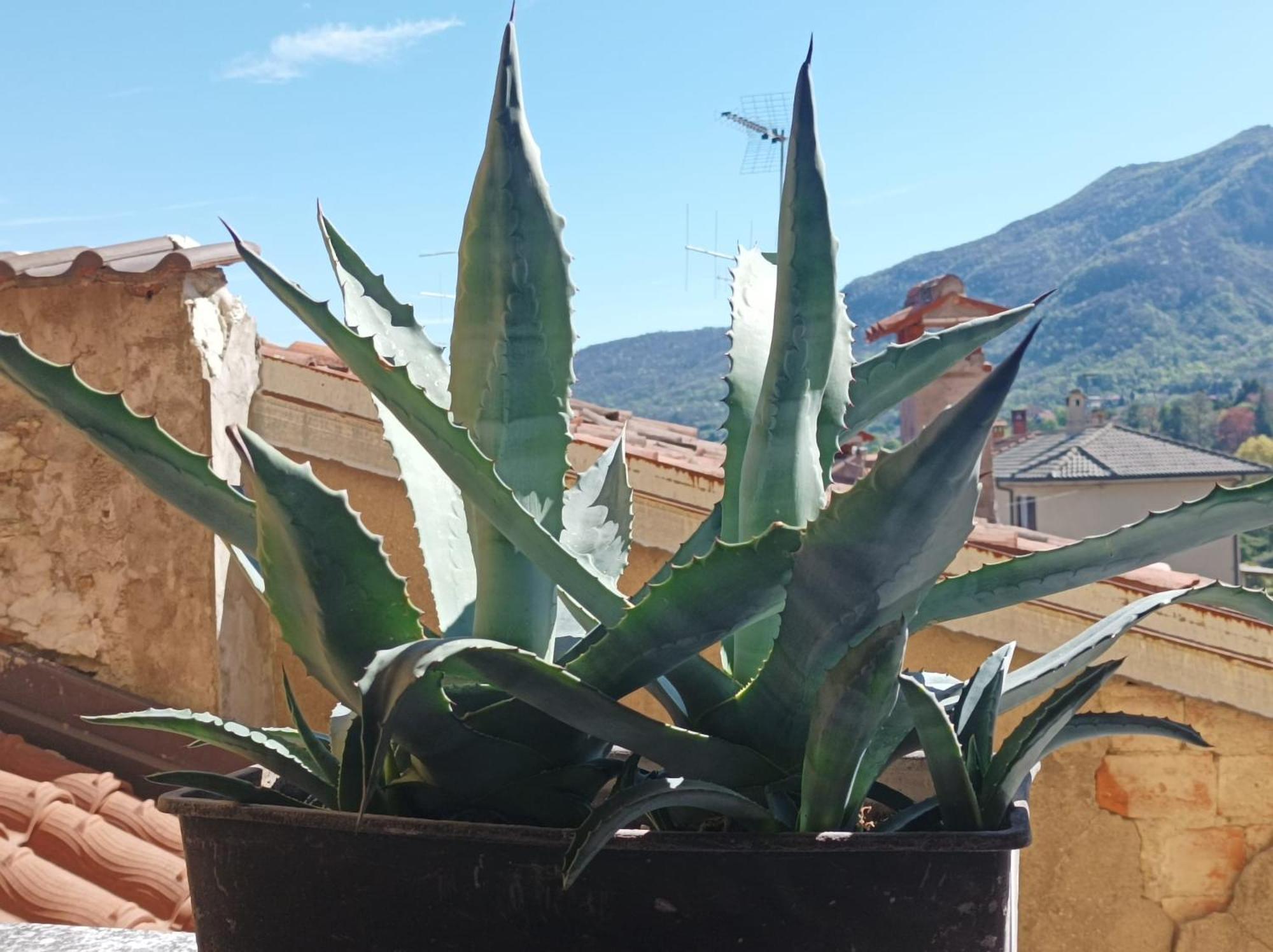 Bed And Breakfast Da Pio Castello  Exterior foto